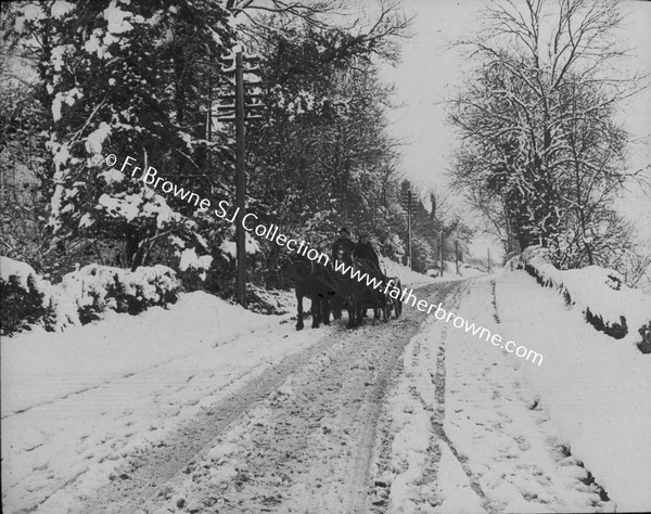 THE ROAD IN WINTER